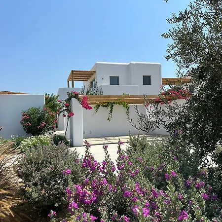 Alio Naxos Luxury Agios Georgios (Naxos)
