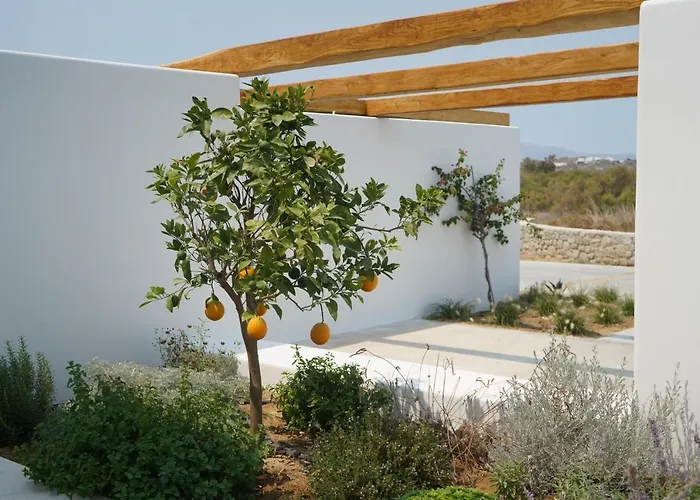 Apartamento Alio Naxos Luxury *