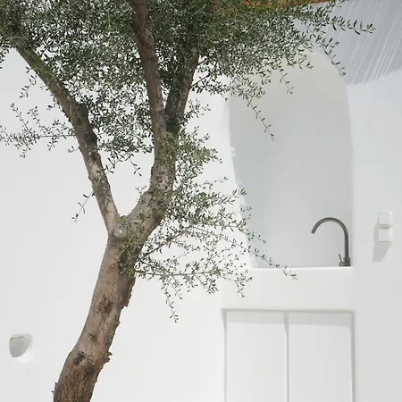 Apartamento Alio Naxos Luxury *