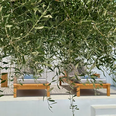 Apartamento Alio Naxos Luxury Agios Georgios (Naxos)